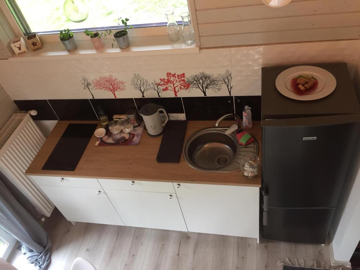 Holiday House Ausekla Namins แซซิส ภายนอก รูปภาพ
